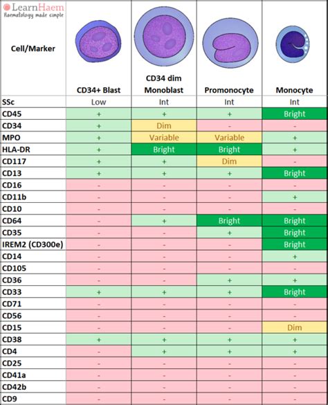 monocytes relative low|monocytes relative percent normal range.